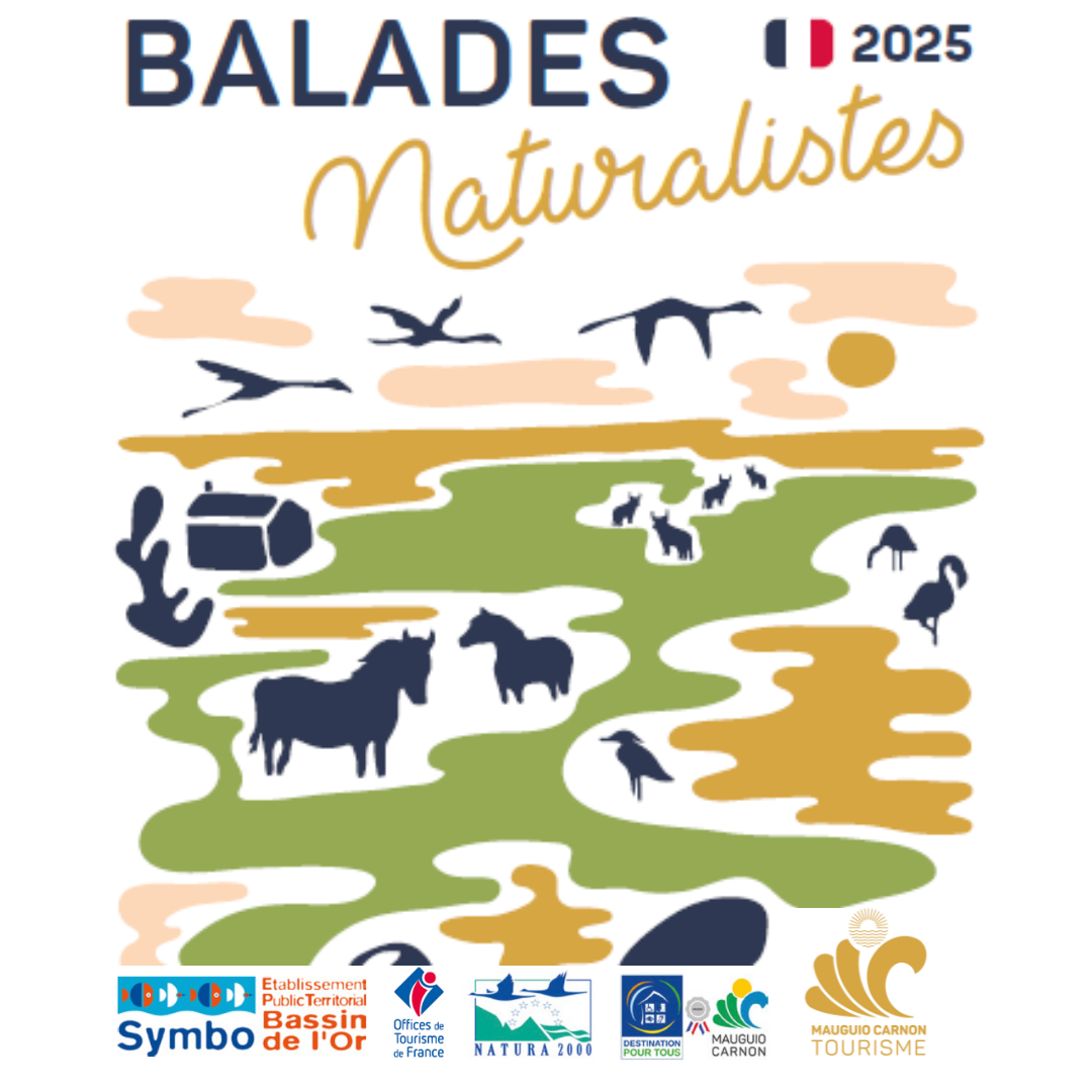 Jeudis environnement 2025