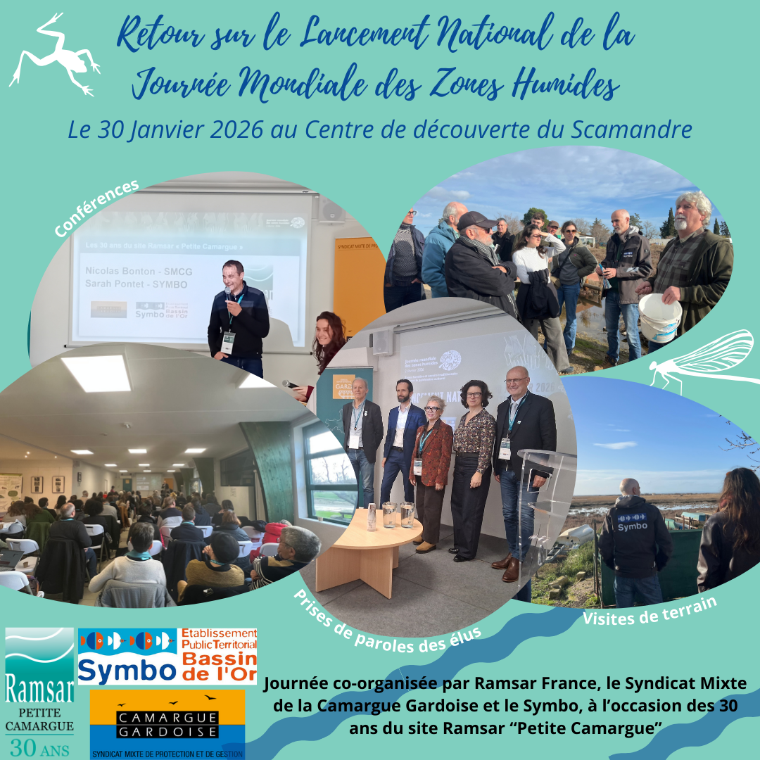 Lancement jmzh 2026
